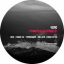 Vidno - Mystery (Roman Rai Remix)