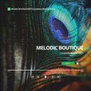 DIMTA - MELODIC BOUTIQUE PART 3
