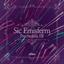 Sic Emisferm - Duct (Original mix)