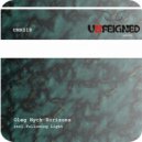 Oleg Nych - Horizons (Following Light Remix)