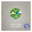 Abriviatura IV - Never Gonna Say Goodbye