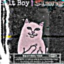 Salt Boy - Slang