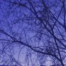 ⌎V⌏ - void (slowed)