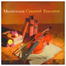 Mantovani - Zigeunerweisen ()