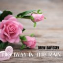 Drew Davidsen - Highway In The Rain ()