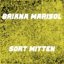 Briana Marisol - Sort Mitten (Radio Edit)