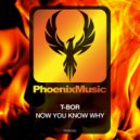 T-Bor - Now You Know Why (Extended Mix)