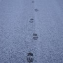 TILZITSKII - ДО ВЕСНЫ (Original Mix)