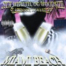 SLASHMANE & DJ MANICAN - RIGHT HERE ()