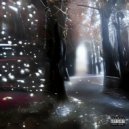 DRUGDIO - Память о Светлом