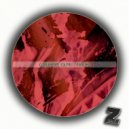 Gabriele Olmi - Tool