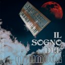 FizzHarmonic - IL SOGNO DEL minimoog ()