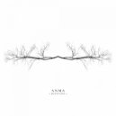 ANMA - Sketch 3
