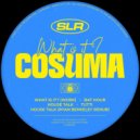 Cosuma - House Talk (Original Mix)