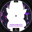 Pernambuco (BR) - Mushrooms (Original Mix)