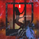 ceoverh - instagram tiktok