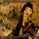 Professional Sound Effects Group & Milano Philharmonic & Seraphina Jane & The Music Man - Strings 15 Beautiful Symphony