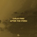 Carlos Pires - Hold On ()