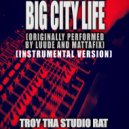Trippy Bubbles - Big City Life (Originally Performed by Luude and Mattafix) (Instrumental Version)