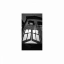 Sun Dawei - Wǔ Hòu ()