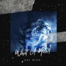 Axl Rich - What U Need ()