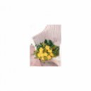 Mindfulness Healing Sleep BGM Project - Satellite flower and Delicateness