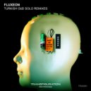 Fluxeon & Andy Bsk - Turkish Oud Solo 2 (Andy BSK Remix)