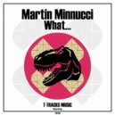Martin Minnucci - What... (Original Mix)