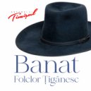 Ansamblul Timisul - Joc Etnic Tiganesc