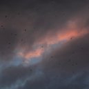 Alma Pater - Замки из песка ()