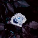 Osc Project - Midnight Flower (Original Mix)