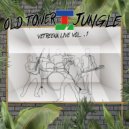 Psicoanalisi & Old Tower Jungle - Australia (feat. Old Tower Jungle) (Live)