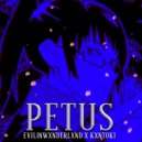 EVILinWXNDERLXND & Kxntoki - Petus ()