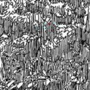 DiZapi - Hydraponts ()