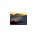 Mindfulness Healing Sleep BGM Project - Rose and Contingency map