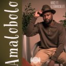 Vince ft Lesdavocalist - Amalobolo