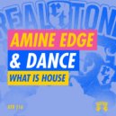 Amine Edge & DANCE - What Is House (Original Mix)