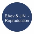 BAev & JIN - Reproduction