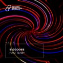 Biggoose - Fast Baby (Extended Mix)