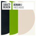 Denian J - I Need House