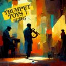 mSdoS - Brass In Action