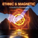 Don Peyote - Sun Dancer