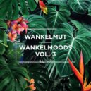 Wankelmut - Wankelmoods, Vol. 3