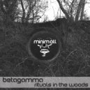 Betagamma - Strange Object