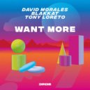 David Morales, Blakkat, Tony Loreto - Want More (Red Zone Instrumental Mix)