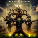 California Sunshine - Transient Frequencies