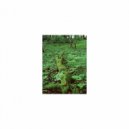 Sleep BGM Mindfulness - Sleep BGM Hippocrates and sleep