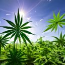 GLlmkOFF & $AFGOLD - Staff ()