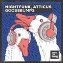 NightFunk, ATTICUS - Goosebumps (Extended Mix)