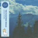 The Floating Whale, Hiyasu Cuts - Lunar Storm (Original Mix)